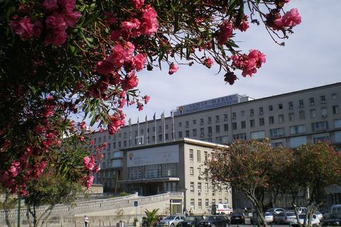 Santa Maria Hospital, Lisbon