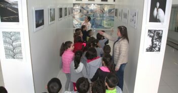 Até 1 de abril | Exposição itinerante do FIIN em exibição na Câmara de Boticas